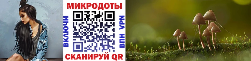 Купить закладки  Богородицк  Галлюциногенные грибы ЛСД 